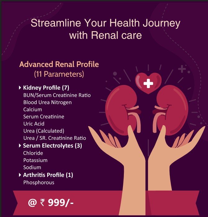 Renal/kideny profile, uric acid, calcium Renal/kideny profile, uric acid,