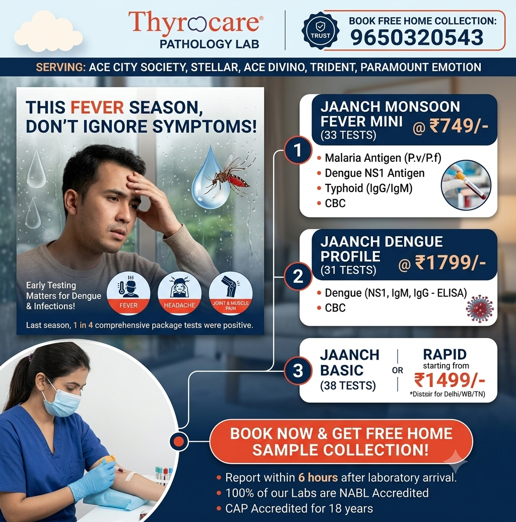 FEVER PANEL , MONSOON PACKAGE
